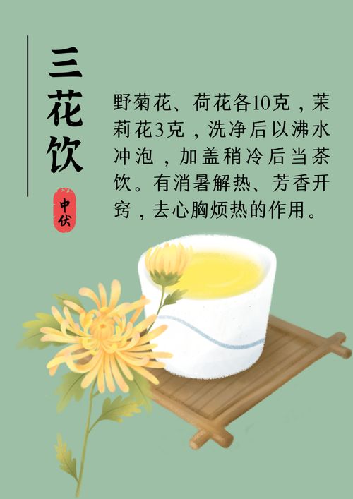 健康养生 中伏养生,牢记这些秘诀