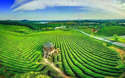 南京休闲农业做'加法' 融合发展新业态，健康养生新篇章