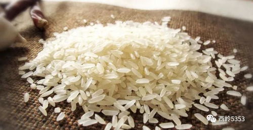 自然天成蕴健康，老挝瑰宝铸永恒——探寻自然养生的古老智慧